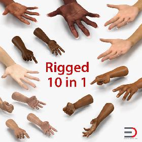 3D Rigged Hands Collection